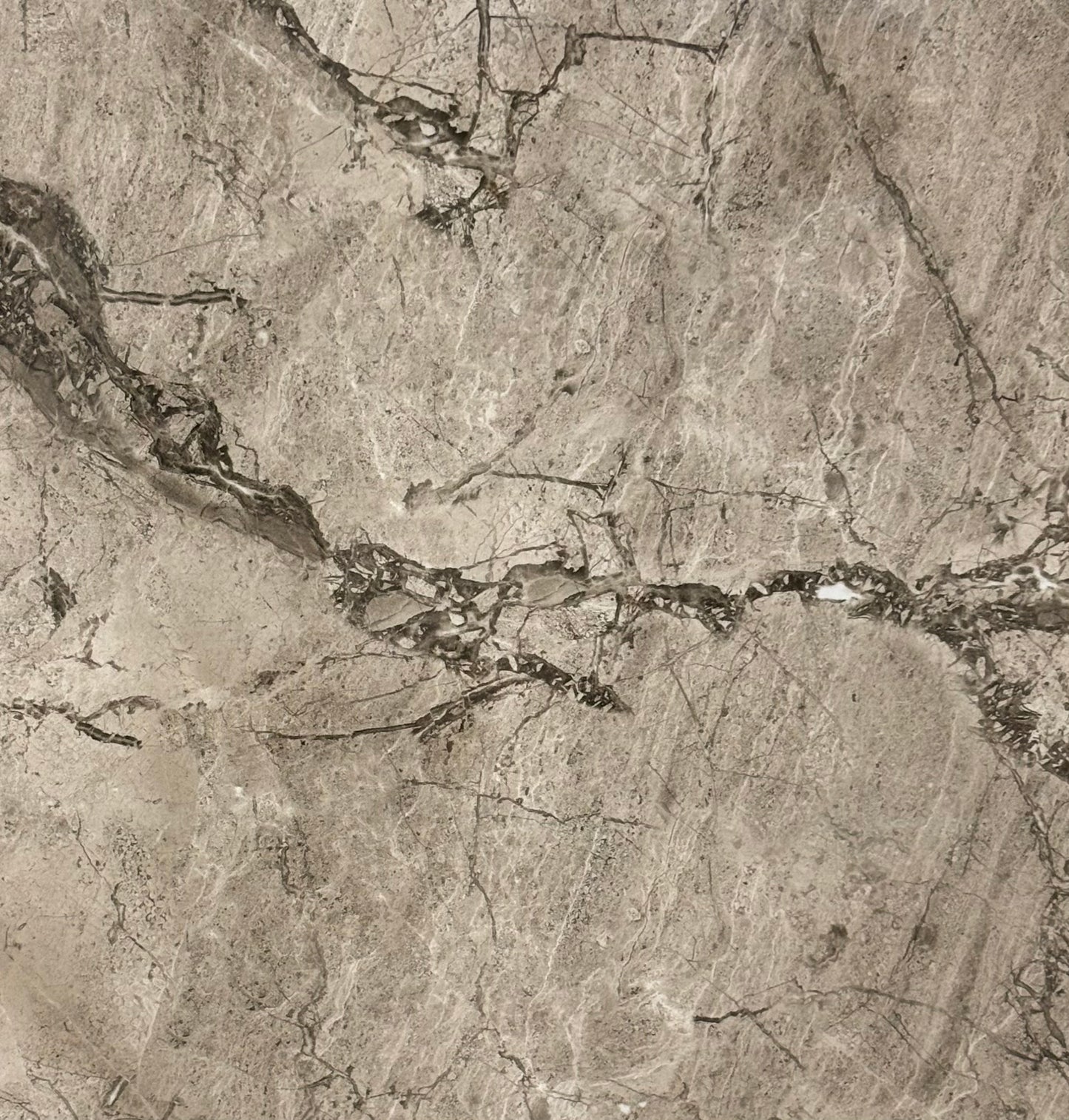 CANYAN GREY 24X24 B#060323