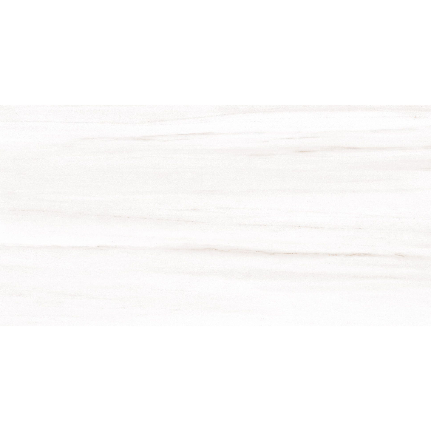 Dolomitti 24X48 Porcelain Matte 15.50 Sq. Ft. / Box