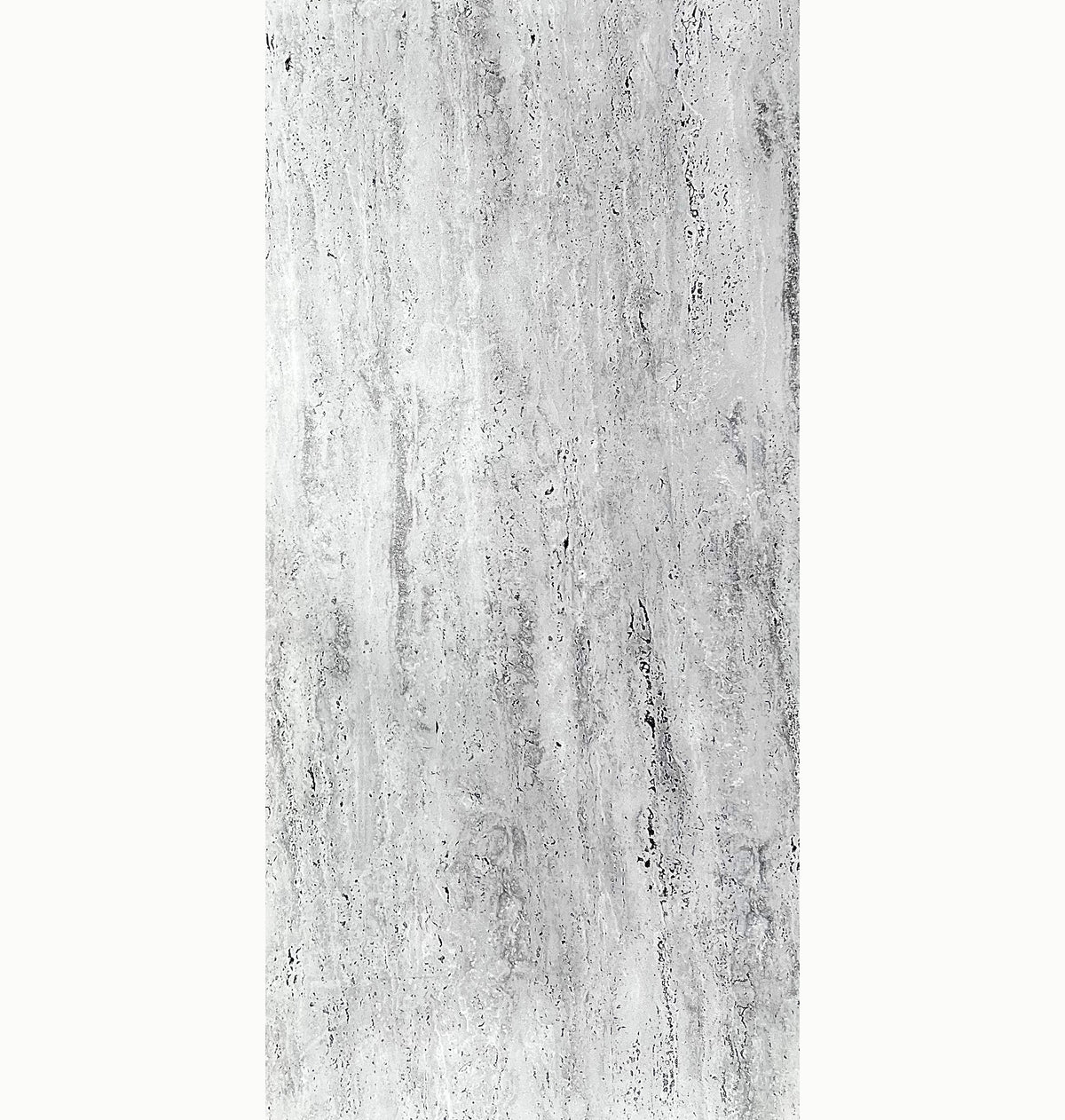 ELITE TRAVERTINE SILVER CARVING 24X48