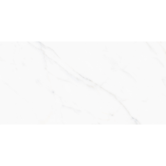 SAMPERI POLISHED 24X48 PORCELAIN 15.5 SQFT/BOX BATCH-240619