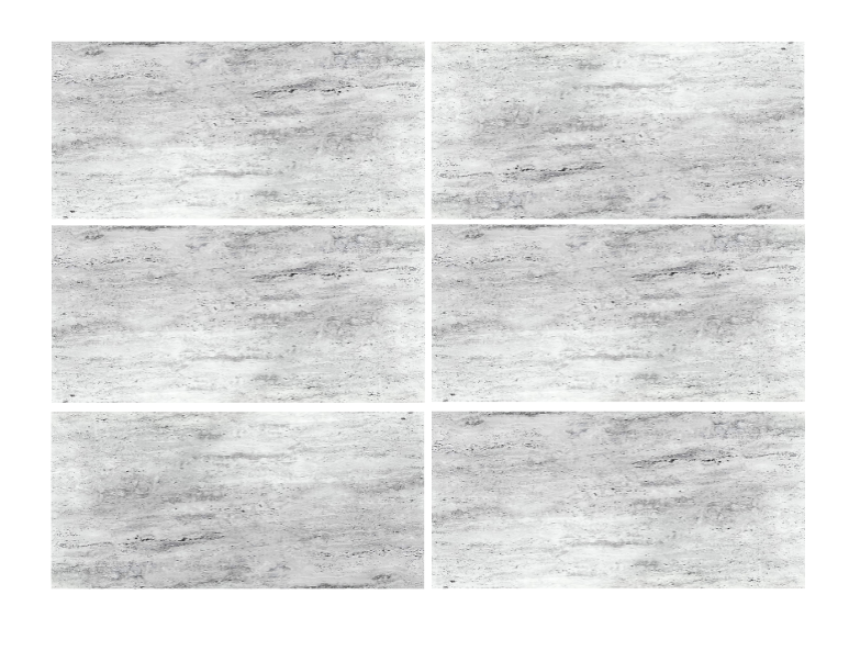 ELITE TRAVERTINE SILVER CARVING 24X48