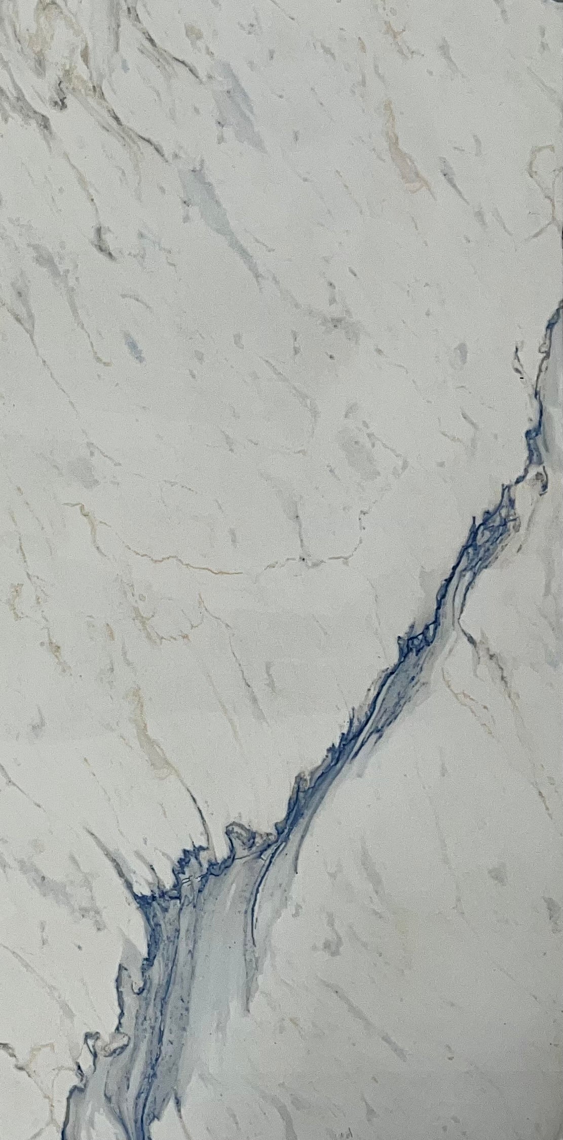VIONA BLUE 24X48 PORCELAIN 15.50 SF/BOX