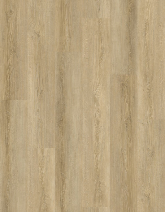 GOLDEN SEQUIO GLOW SPC 9X60 6.5 MM 22 MIL 22.50 SF/BOX