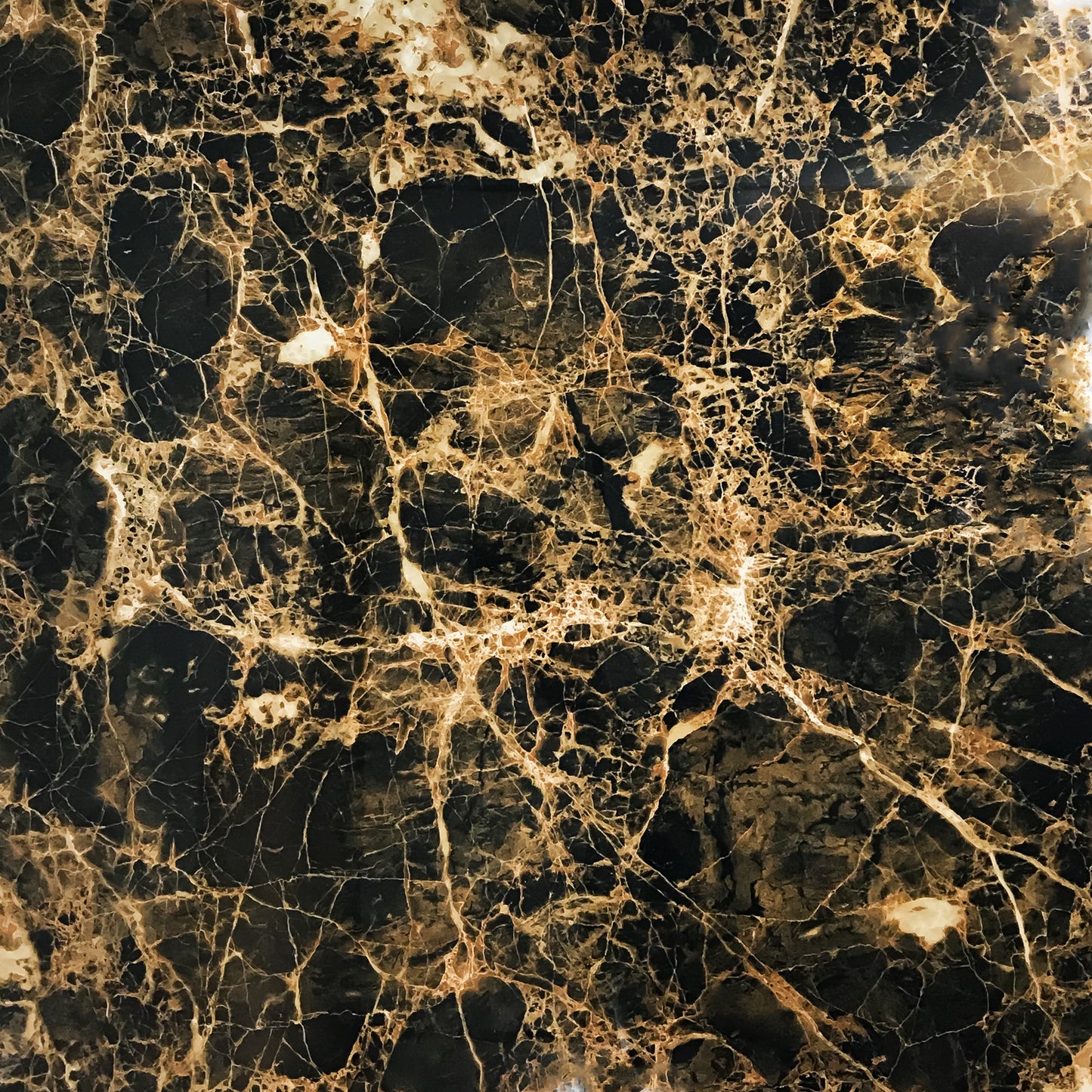 HD 03 24X24 POLISH 15.5 SF/BOX