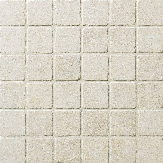 2X2 TUMBLED OJINAGA LIMESTONE