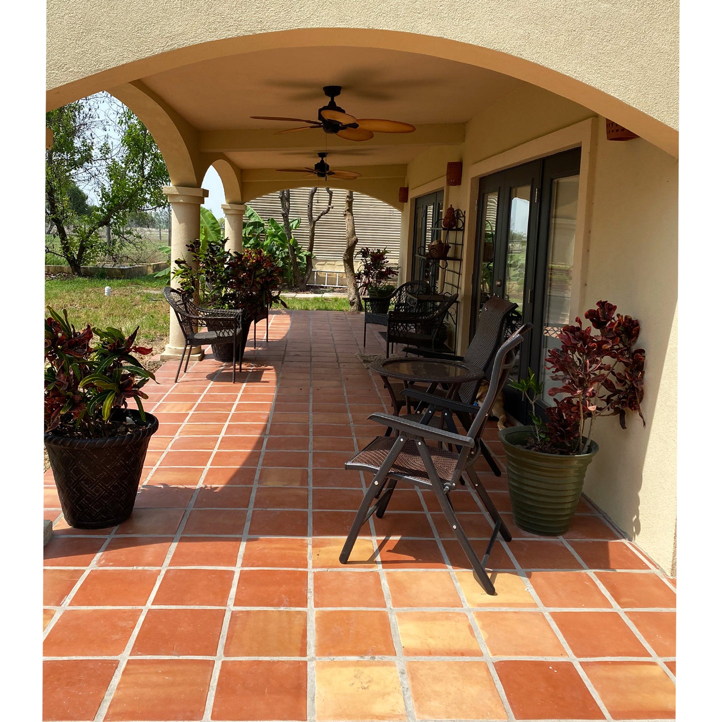 Super Saltillo Sealed 12x12