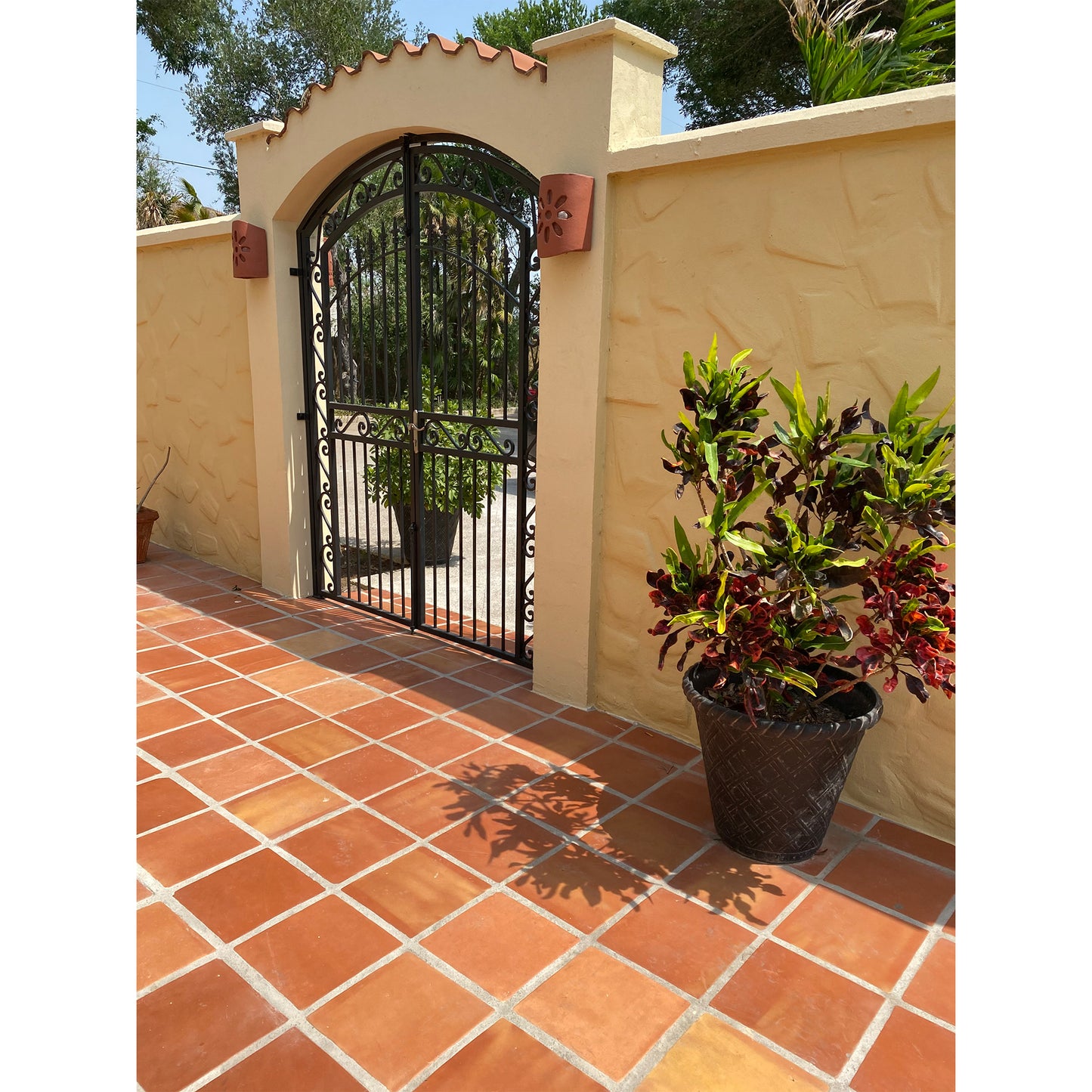 Super Saltillo Sealed 12x12