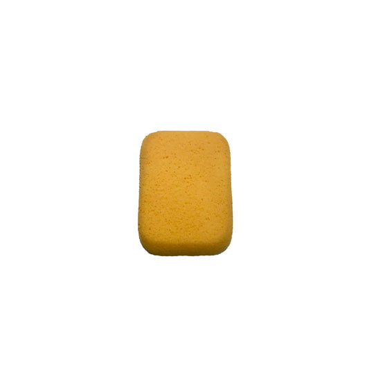 Yellow Sponge