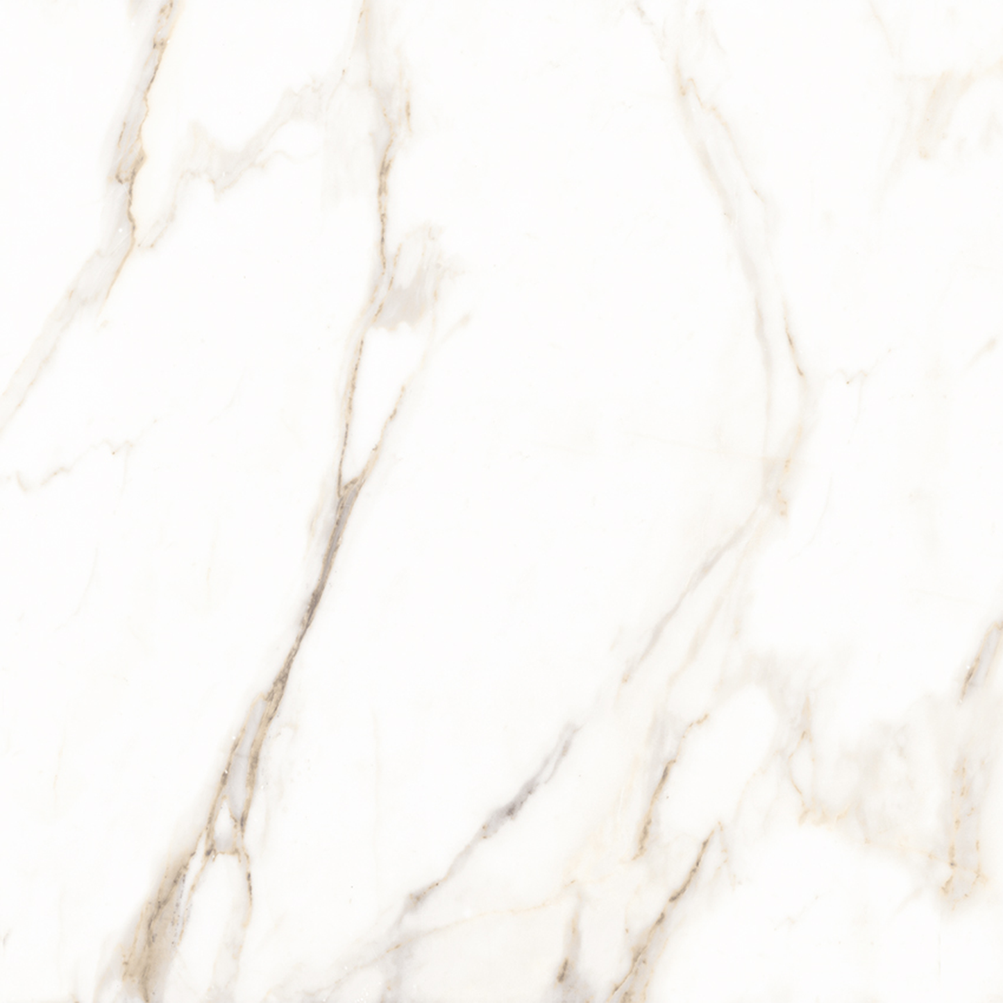 56098 CARRARA GLOSSY 22X22 23.68SF/BOX