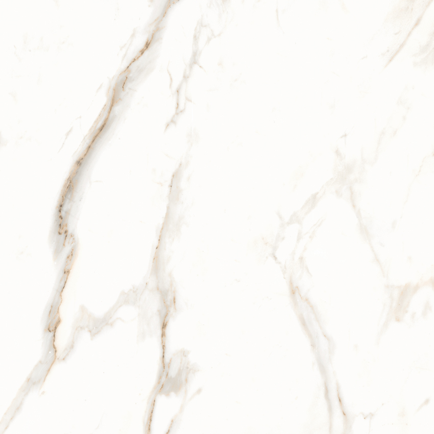 56098 CARRARA GLOSSY 22X22 23.68SF/BOX