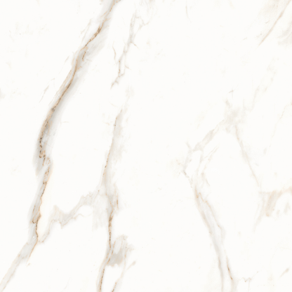 56098 CARRARA GLOSSY 22X22 23.68SF/BOX