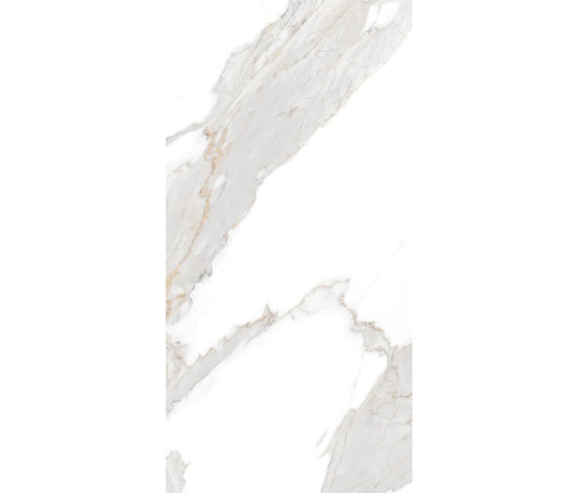 LIVIA POLISHED 24X48