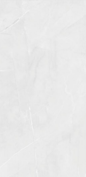 SLATE SILVER 24X48