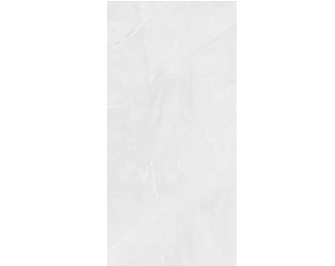SLATE SILVER 24X48