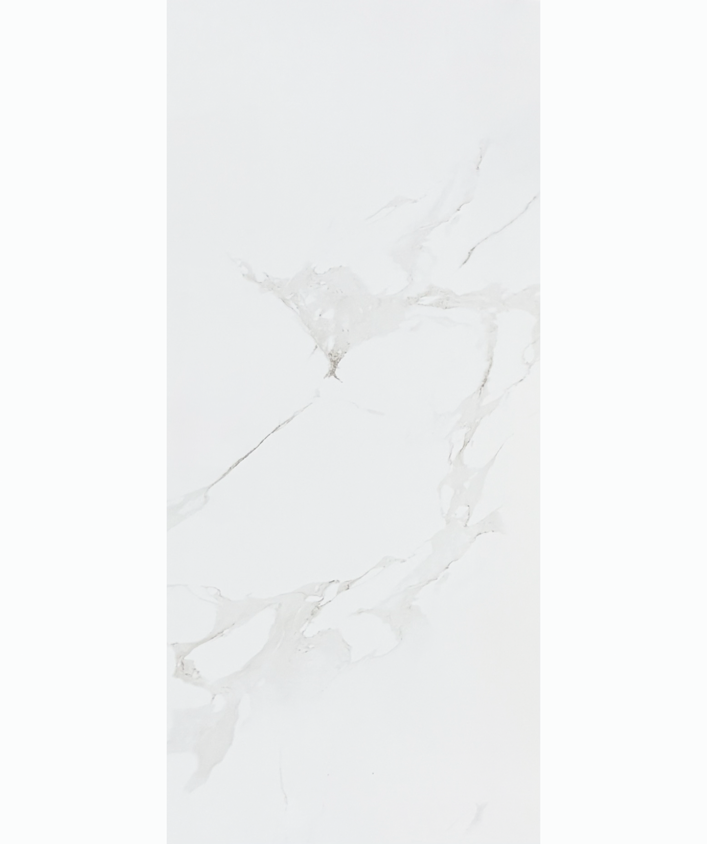 SMOKE WHITE 24X48 PORCELAIN 15.50 SF/BOX