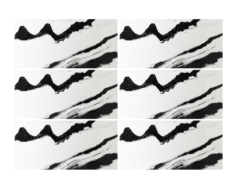 BLACK PANDA 24X48 HIGH GLOSS