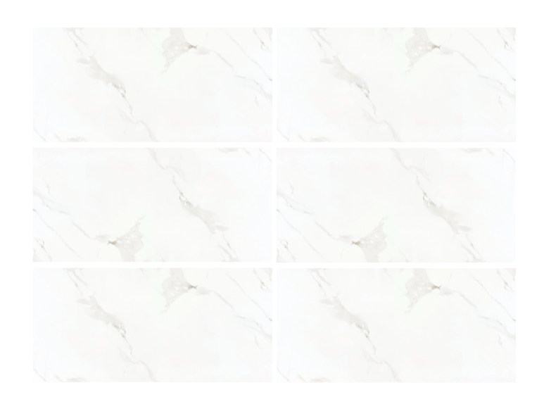 SMOKE WHITE 24X48 PORCELAIN 15.50 SF/BOX