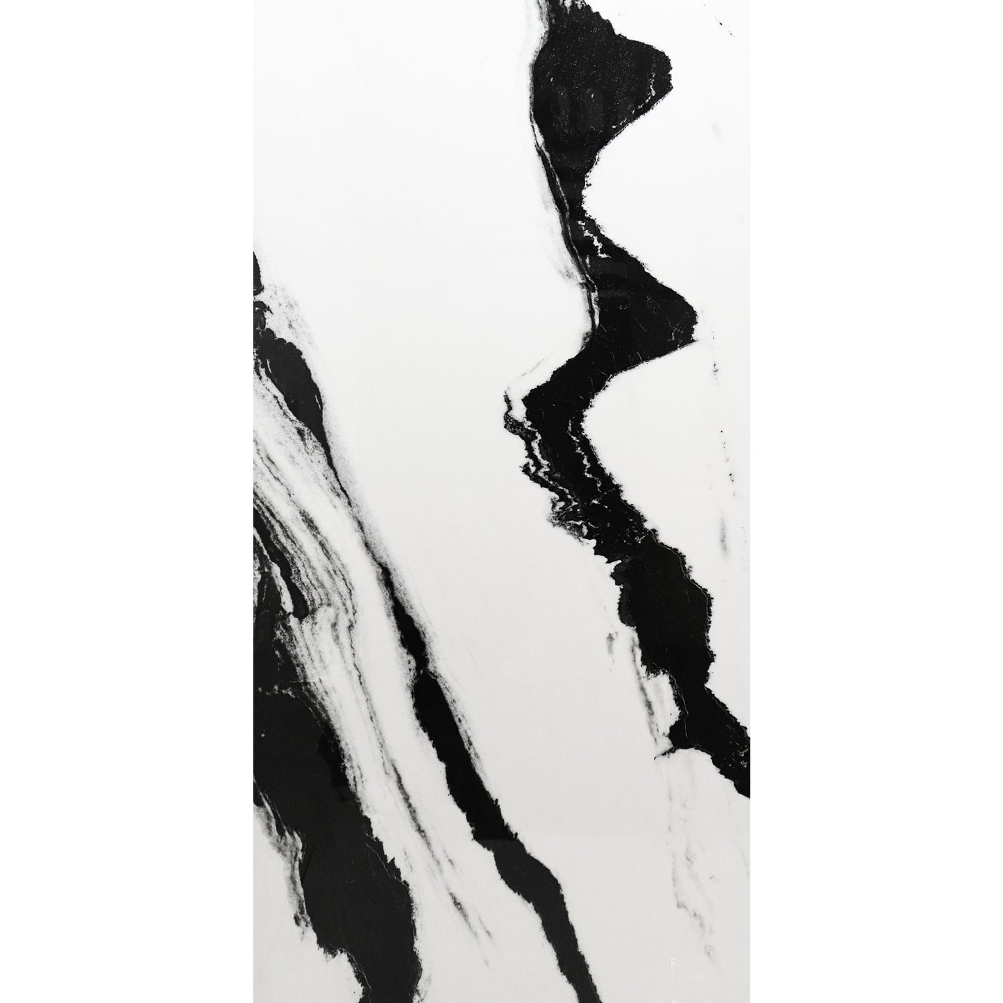 BLACK PANDA 24X48 HIGH GLOSS